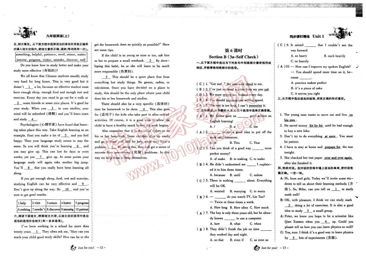 2015年蓉城课堂给力A加九年级英语全一册 第8页