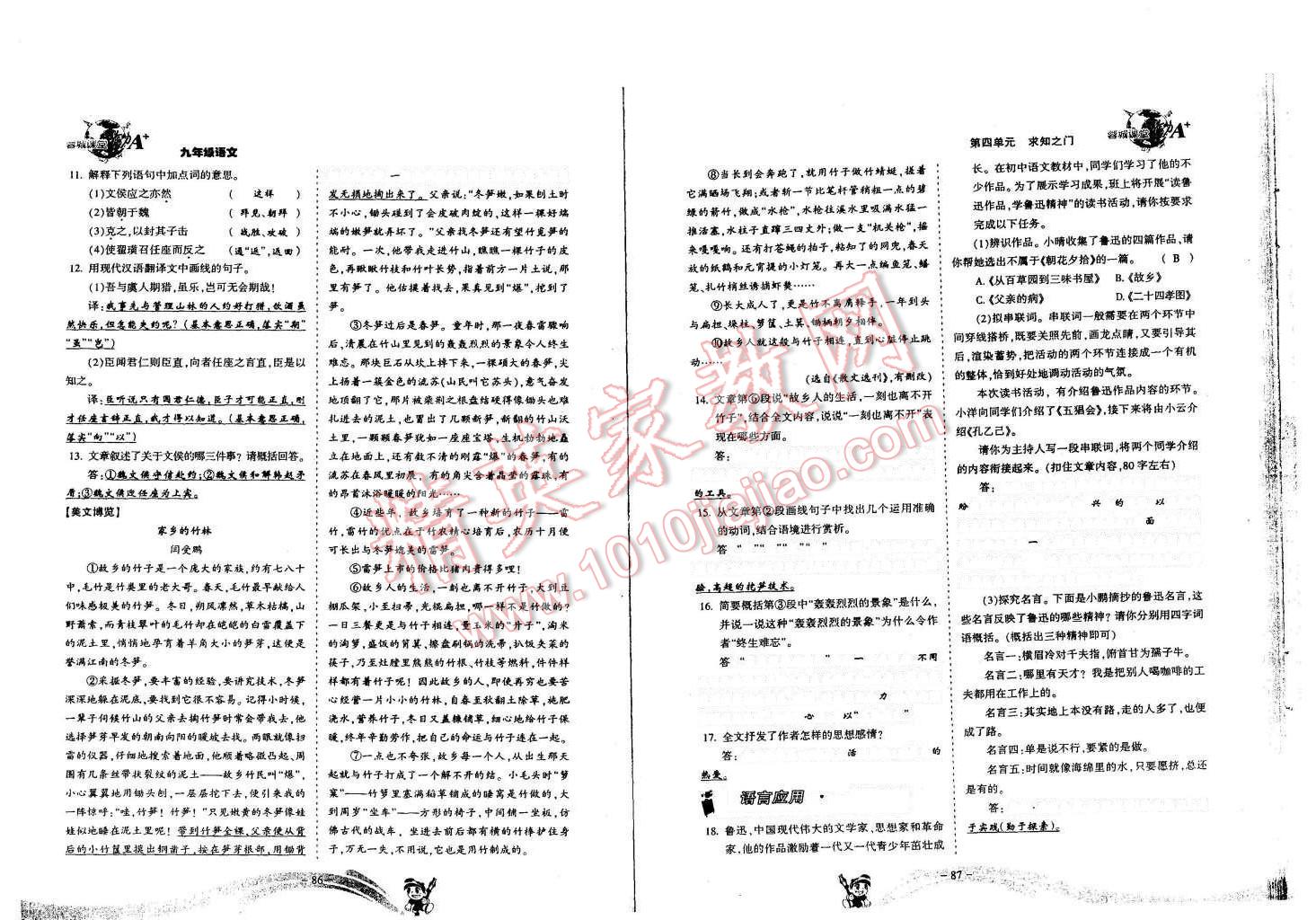 2015年蓉城课堂给力A加九年级语文全一册 第43页