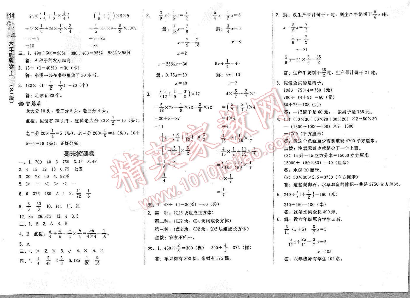 2015年綜合應(yīng)用創(chuàng)新題典中點六年級數(shù)學(xué)上冊蘇教版 參考答案第40頁