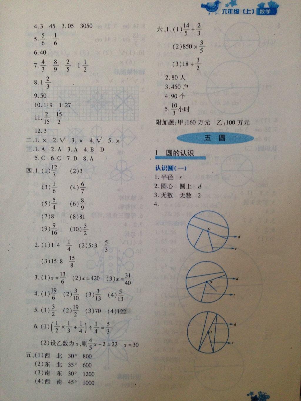 2015年新教材同步導(dǎo)學(xué)優(yōu)化設(shè)計(jì)課課練六年級數(shù)學(xué)上冊 第43頁