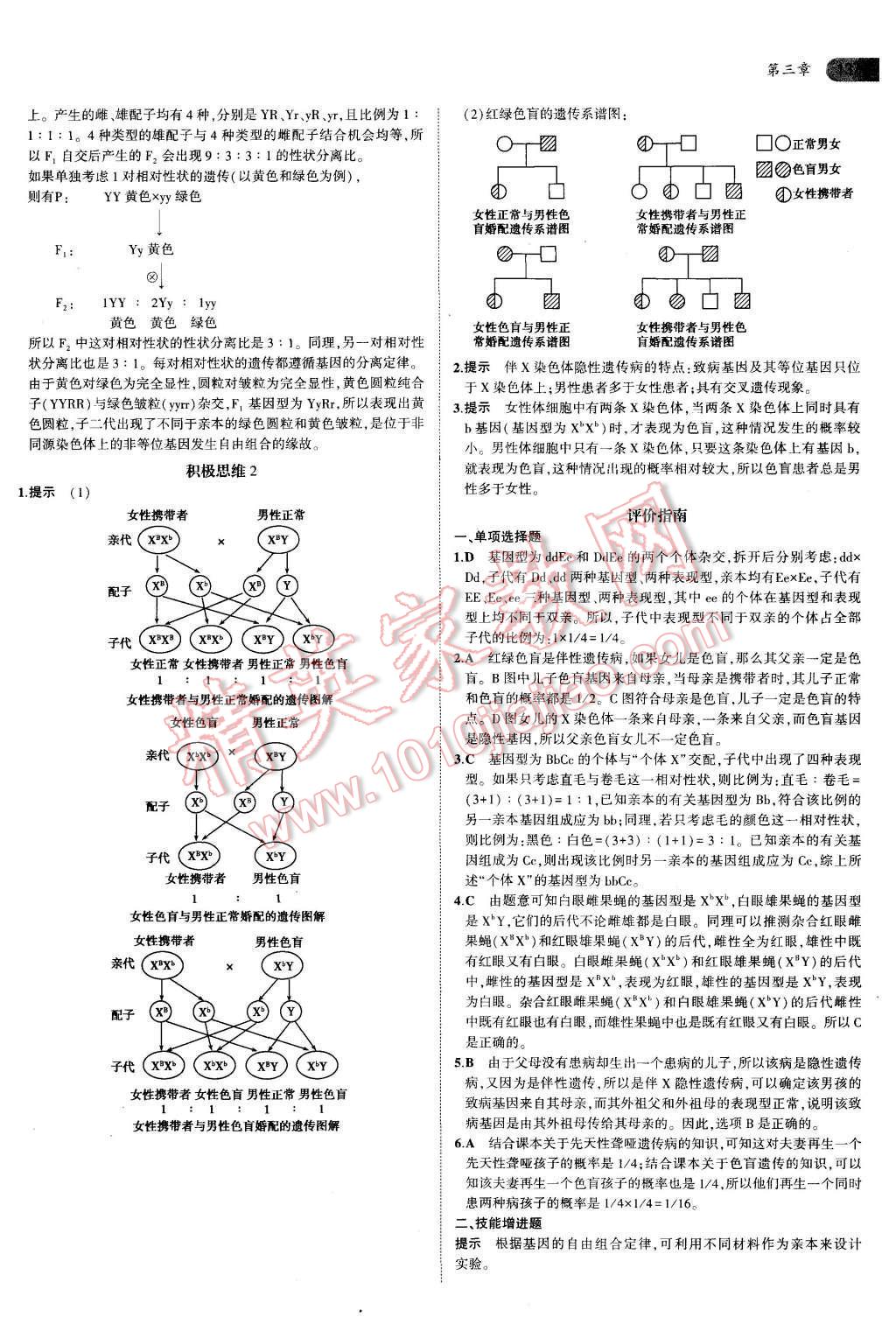 課本蘇教版高中生物必修2 參考答案第3頁