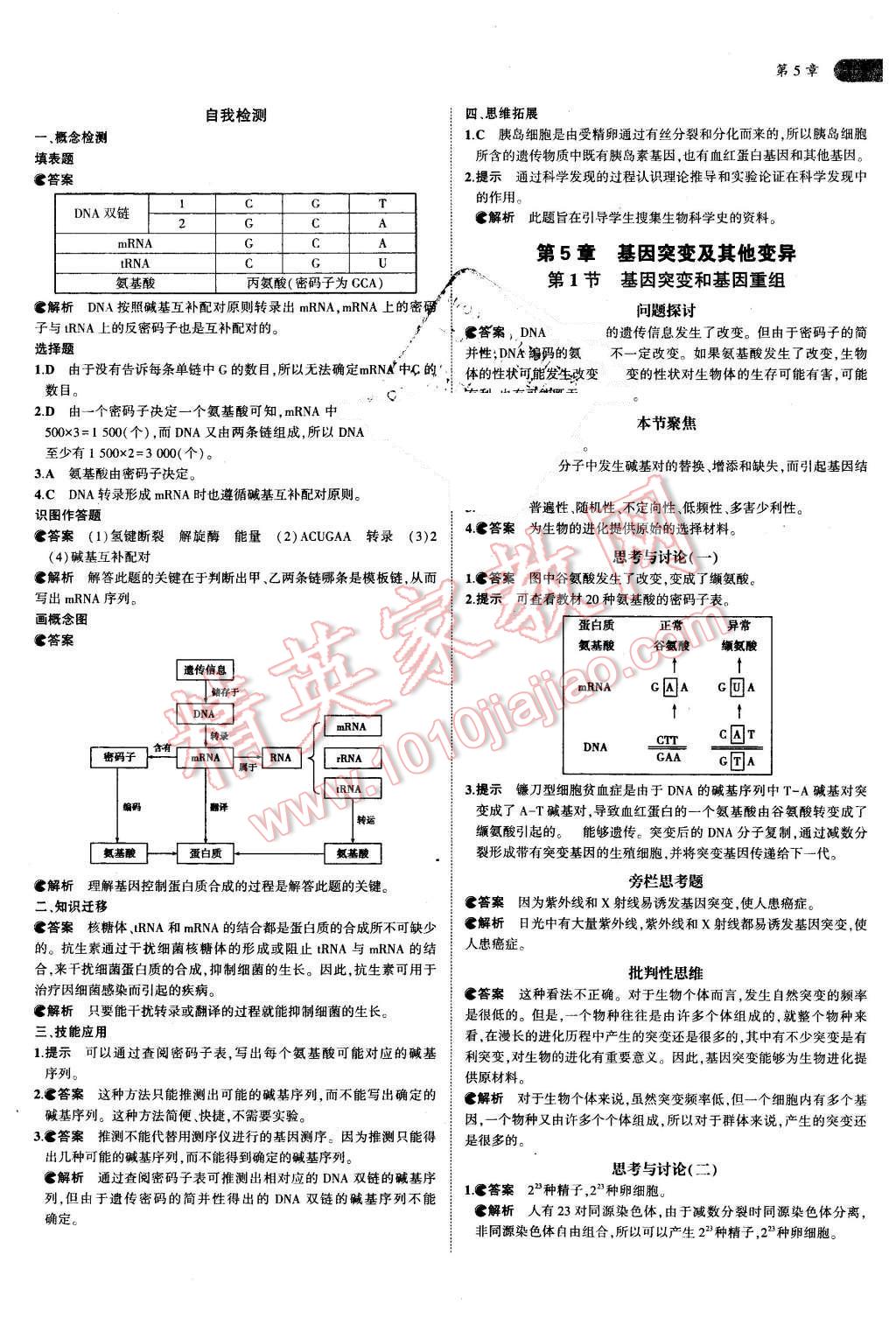 課本人教版高中生物必修2 參考答案第11頁