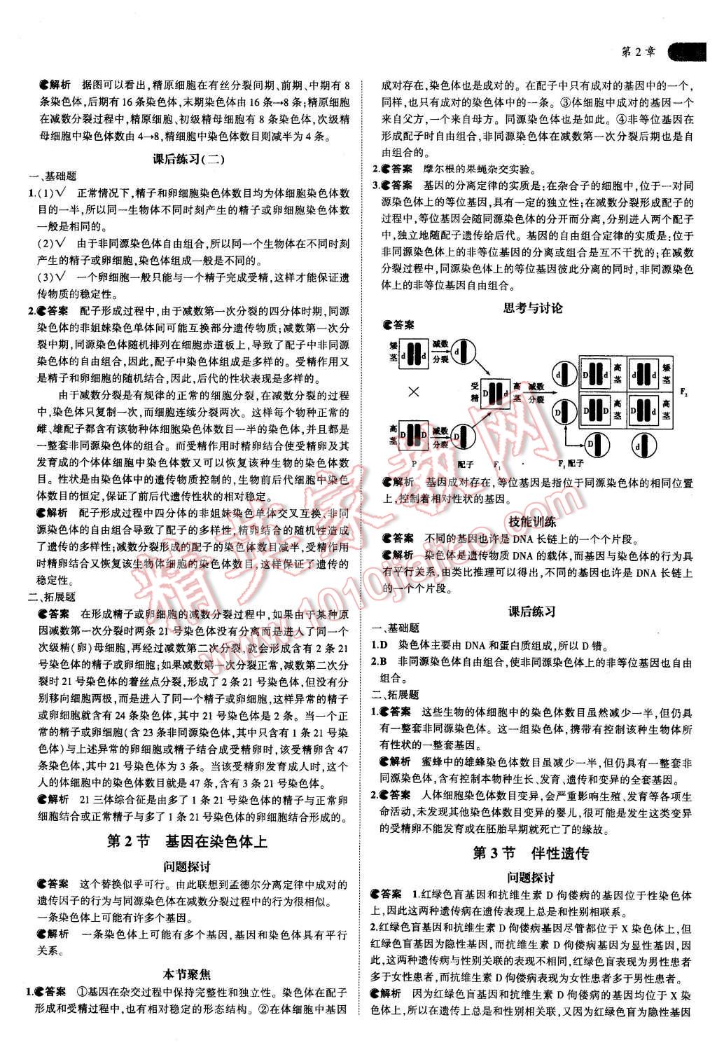 課本人教版高中生物必修2 參考答案第5頁