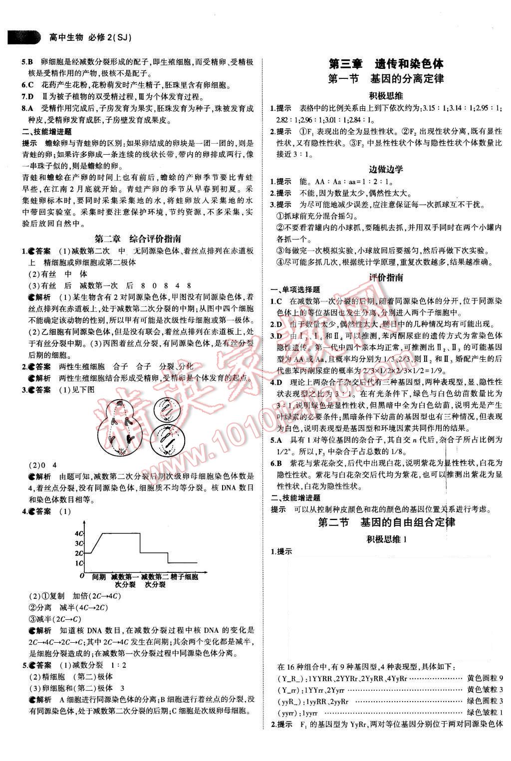 課本蘇教版高中生物必修2 參考答案第2頁(yè)