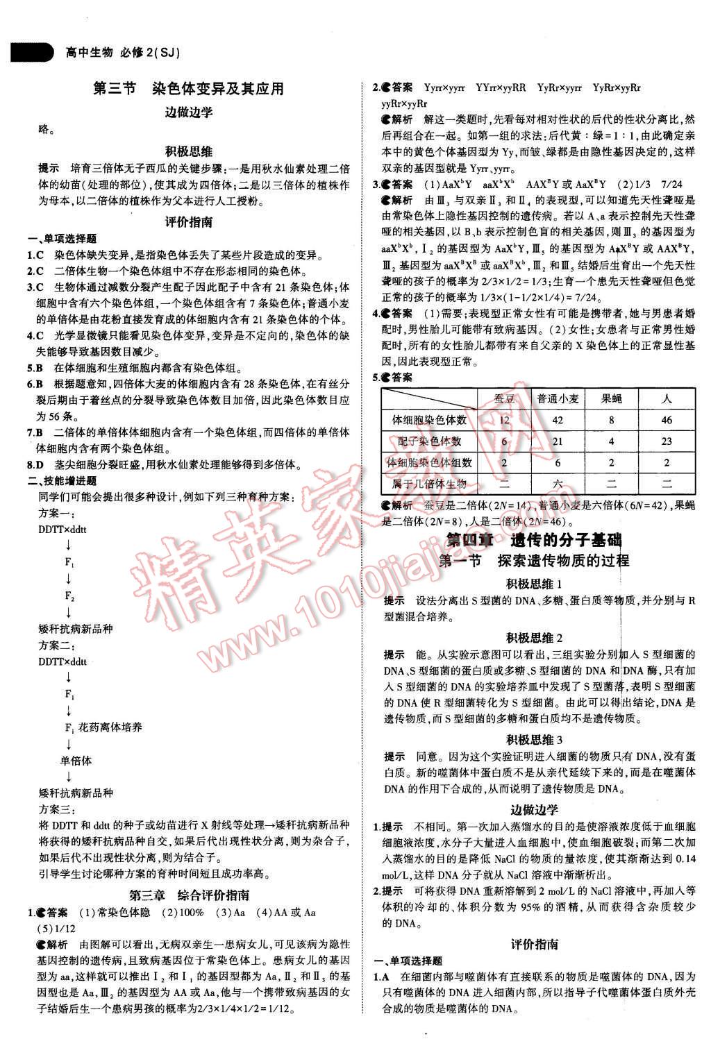 課本蘇教版高中生物必修2 參考答案第4頁