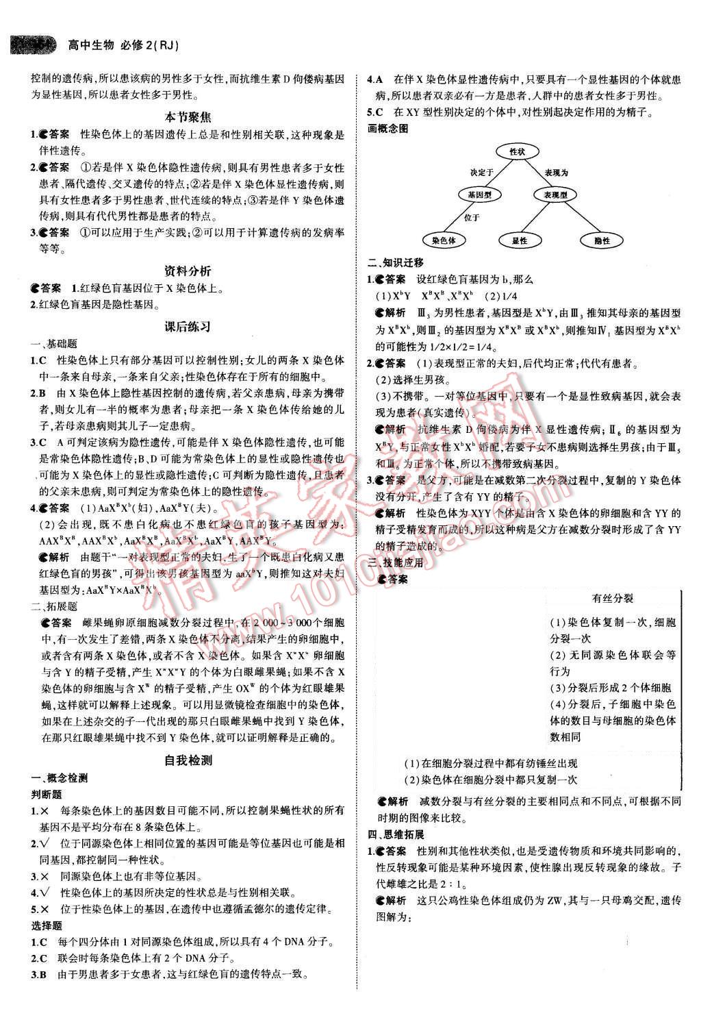 課本人教版高中生物必修2 參考答案第6頁