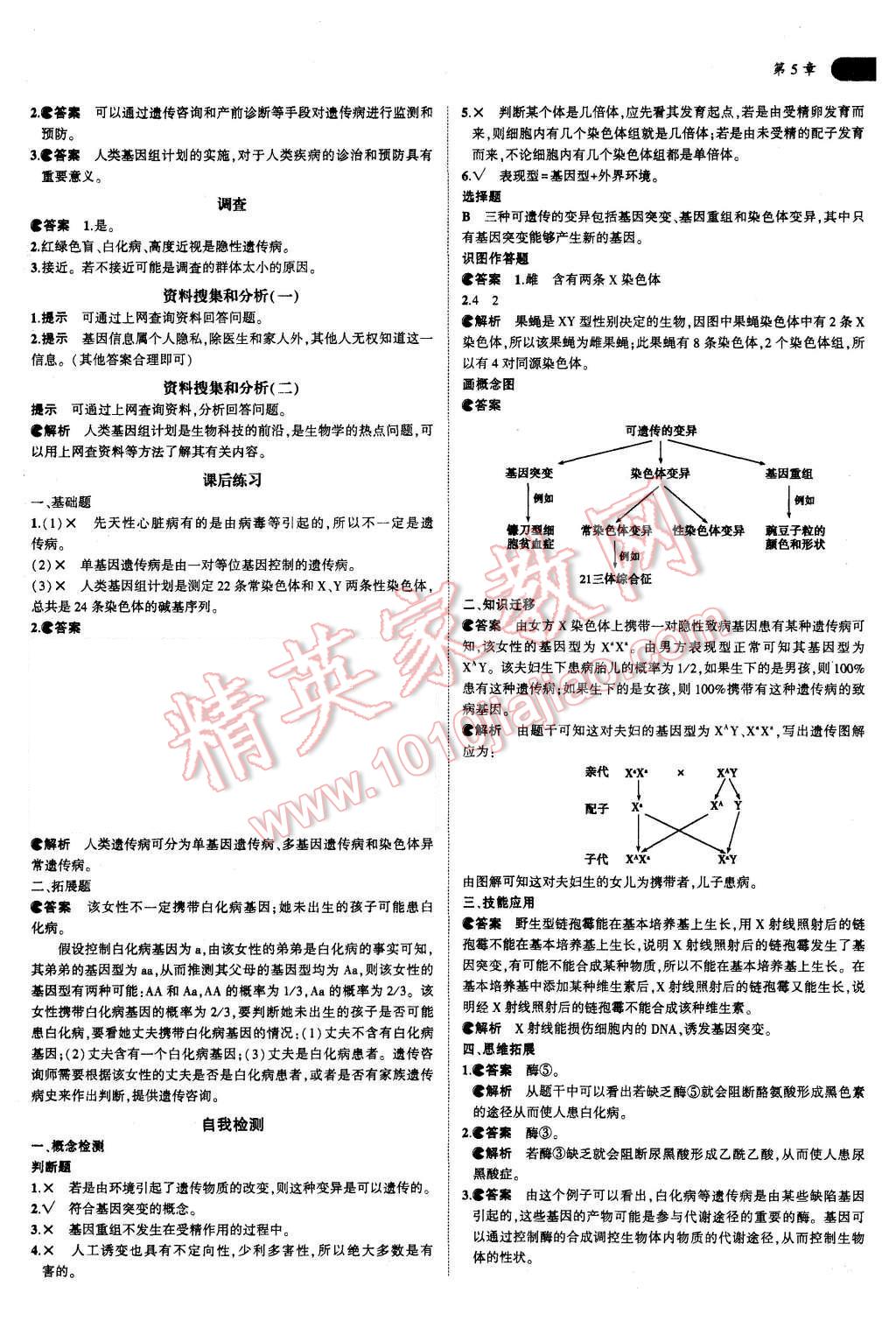 課本人教版高中生物必修2 參考答案第13頁