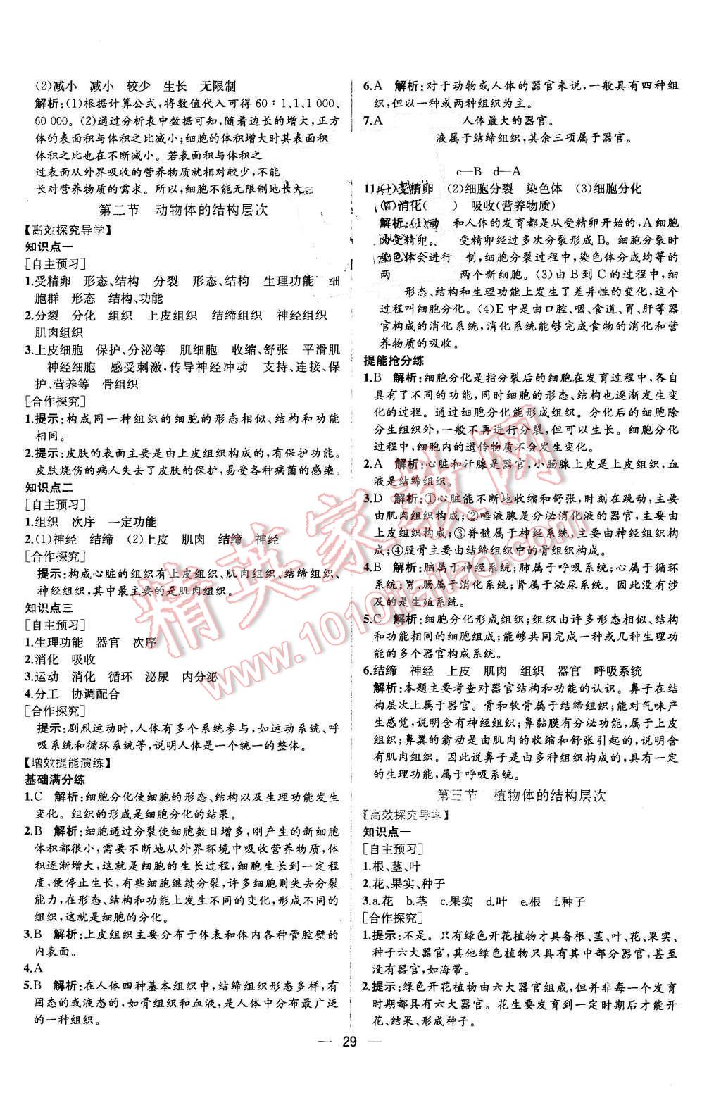 2015年同步导学案课时练七年级生物学上册人教版 第11页