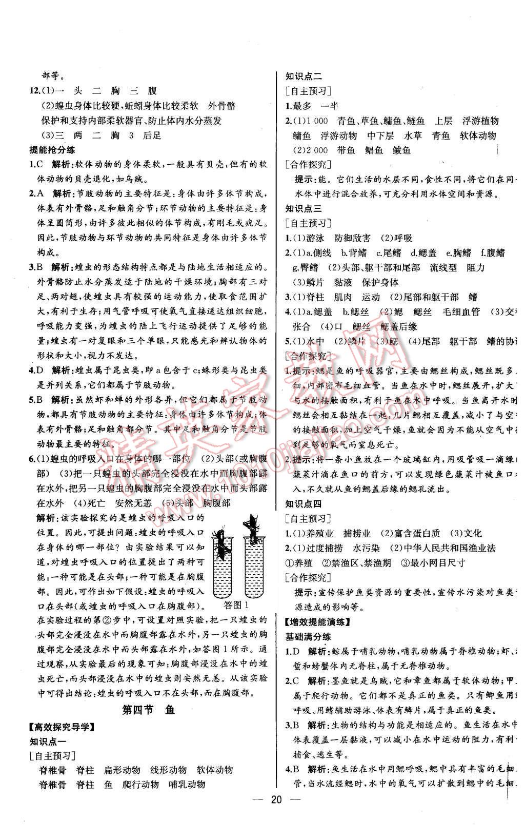 2015年同步導學案課時練八年級生物學上冊人教版河北專版 第4頁