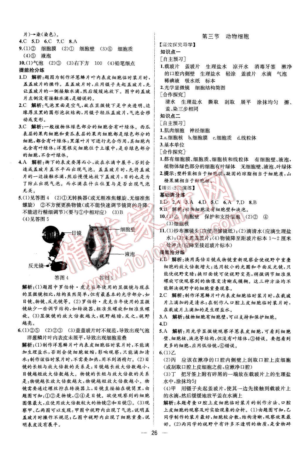 2015年同步导学案课时练七年级生物学上册人教版 第8页