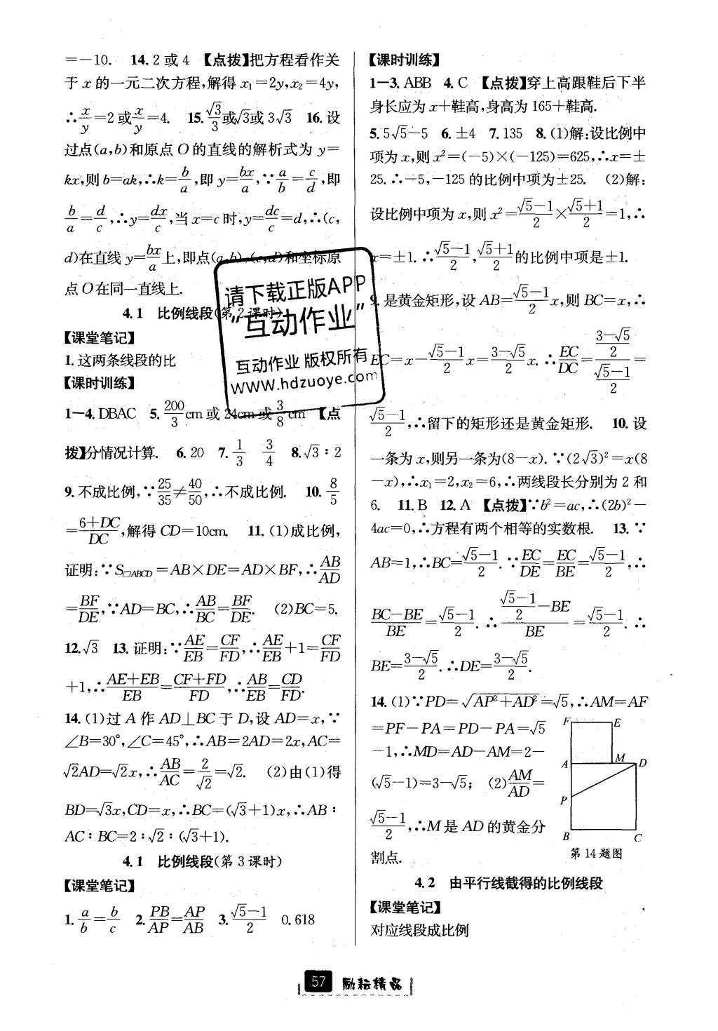 2016年励耘书业励耘新同步九年级数学全一册 参考答案第21页