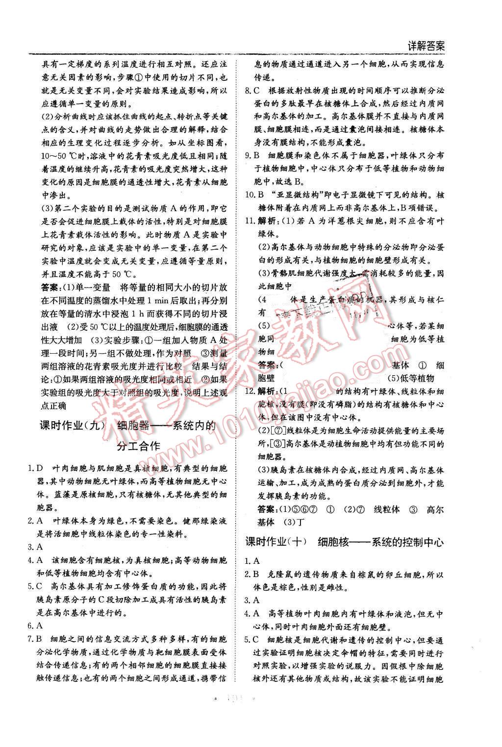 2015年新编高中同步作业生物必修1分子与细胞人教版 第23页