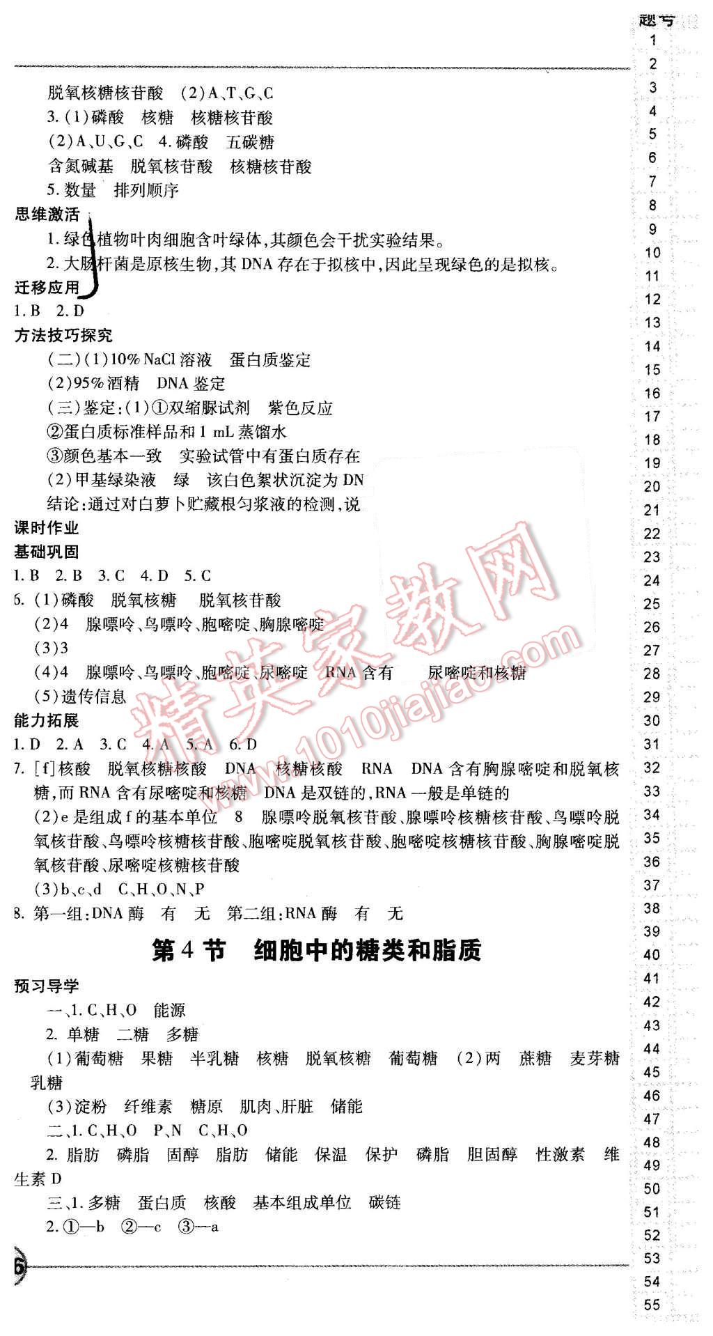 2015年成才之路高中新課程學習指導生物必修1人教版 第6頁