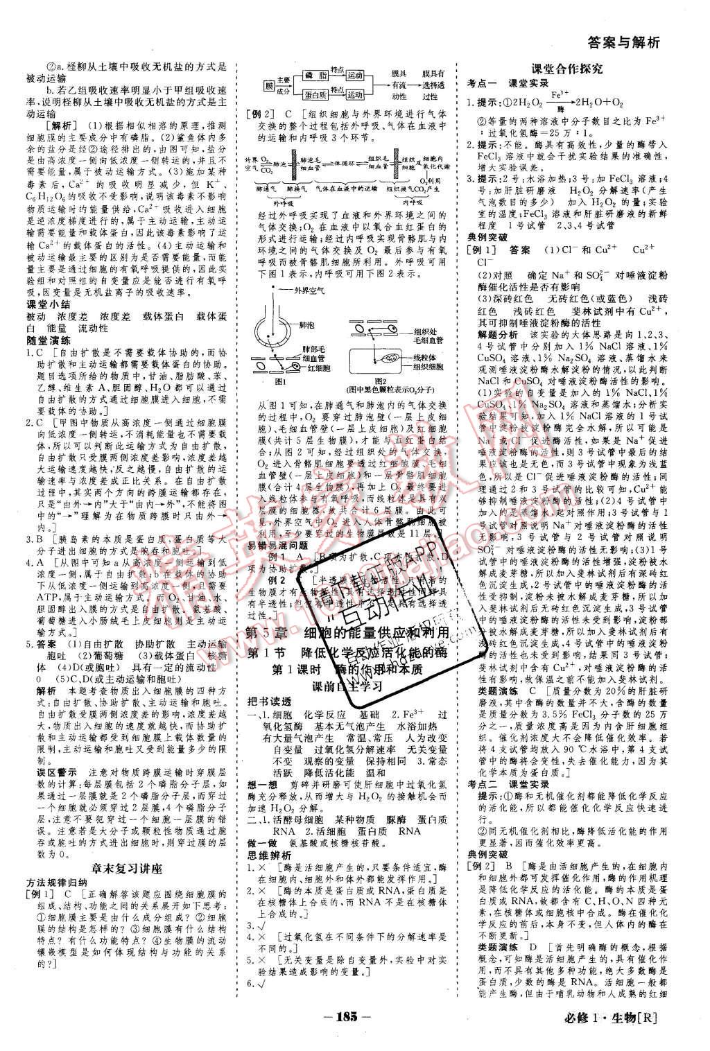 2015年金版教程高中新課程創(chuàng)新導(dǎo)學(xué)案生物必修1人教版 第10頁