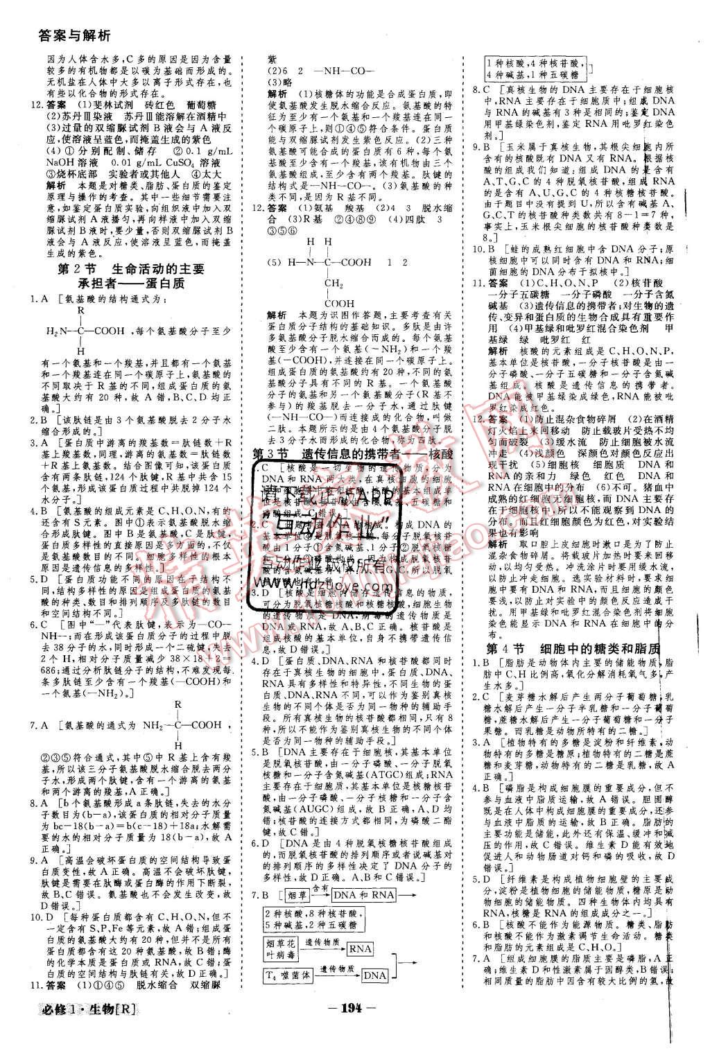 2015年金版教程高中新課程創(chuàng)新導(dǎo)學案生物必修1人教版 第19頁