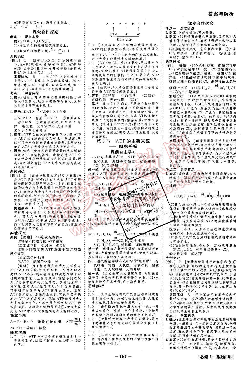 2015年金版教程高中新課程創(chuàng)新導(dǎo)學(xué)案生物必修1人教版 第12頁