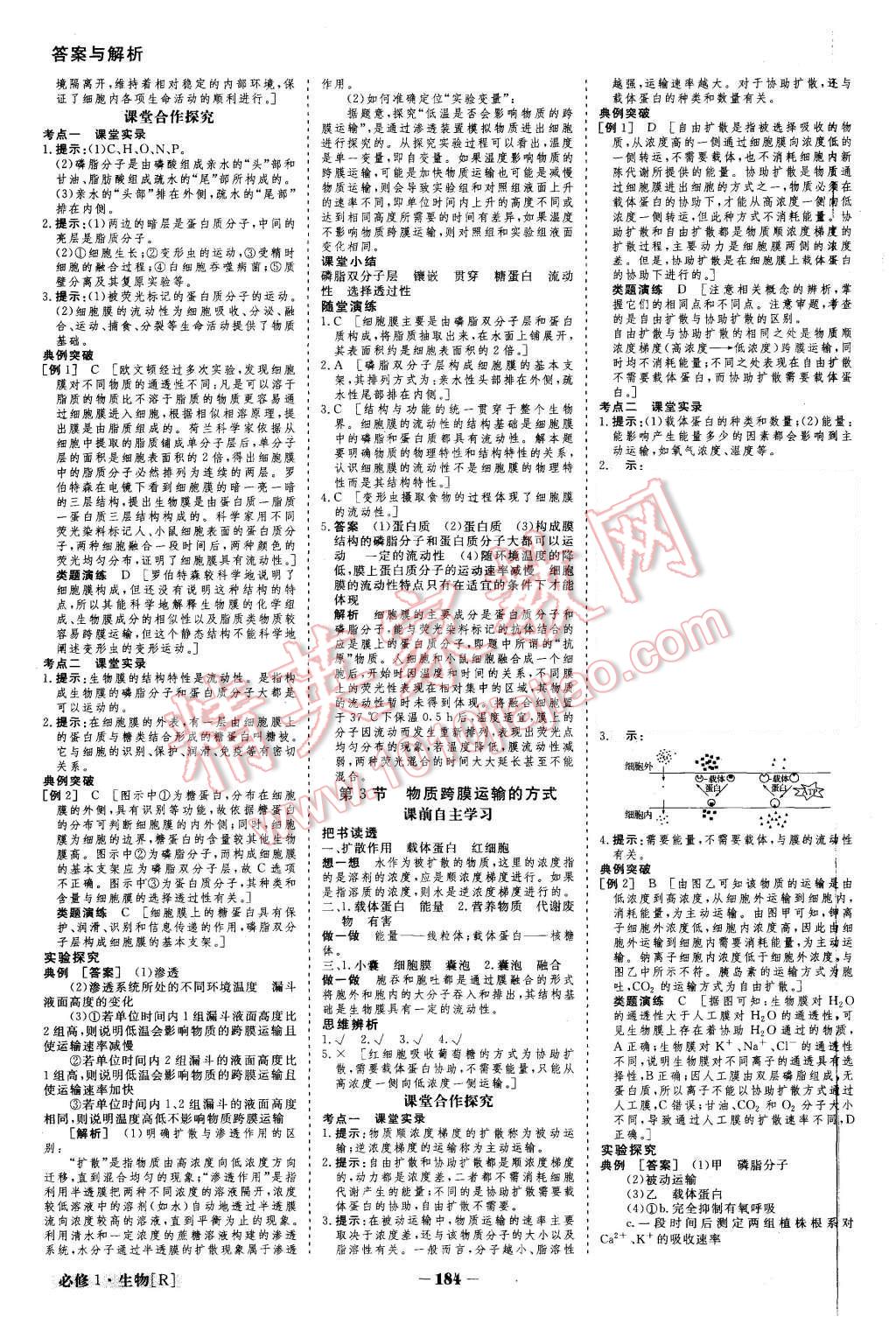 2015年金版教程高中新課程創(chuàng)新導(dǎo)學(xué)案生物必修1人教版 第9頁(yè)