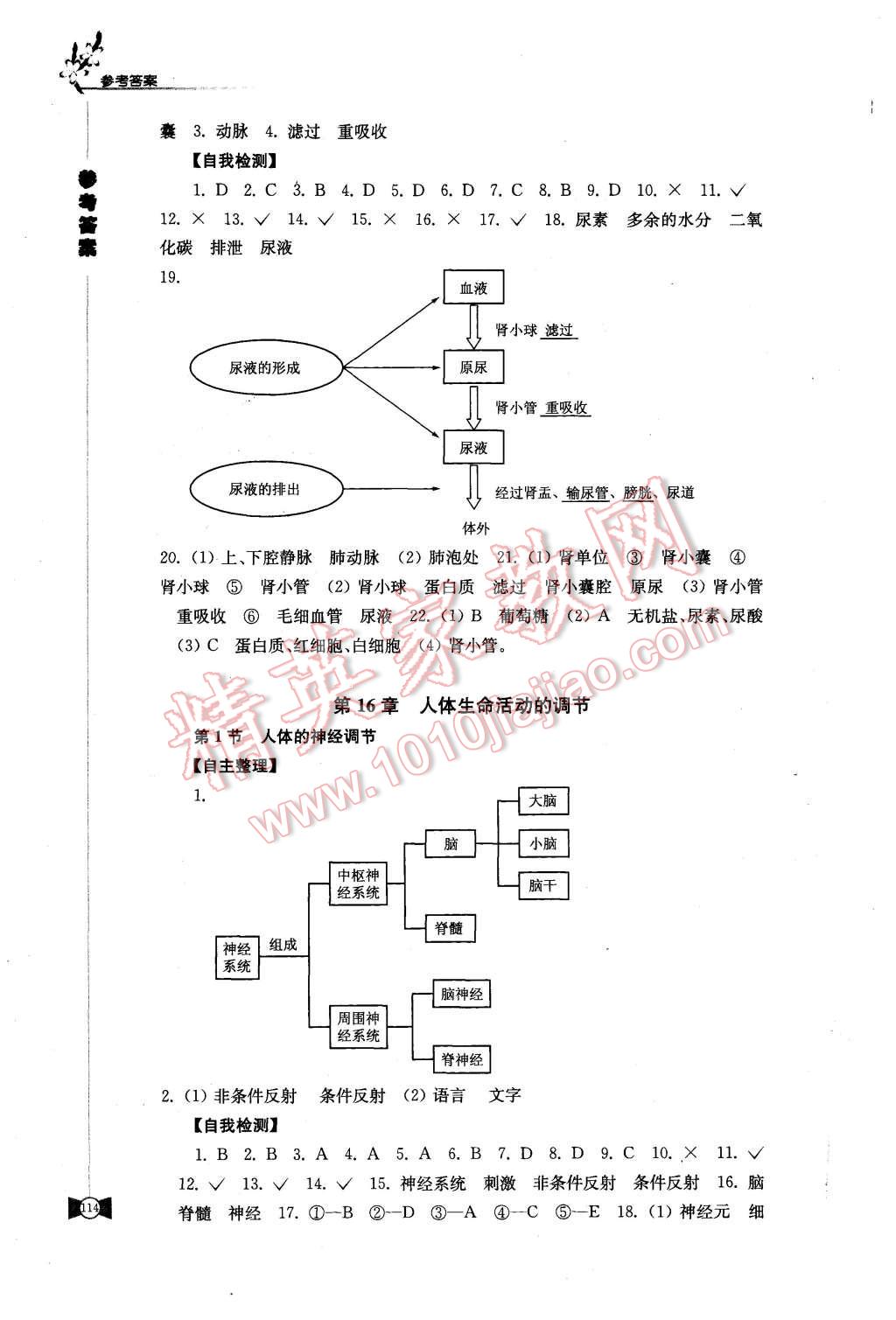 2015年學(xué)習(xí)與評(píng)價(jià)八年級(jí)生物學(xué)上冊(cè)蘇科版江蘇鳳凰教育出版社 第2頁(yè)