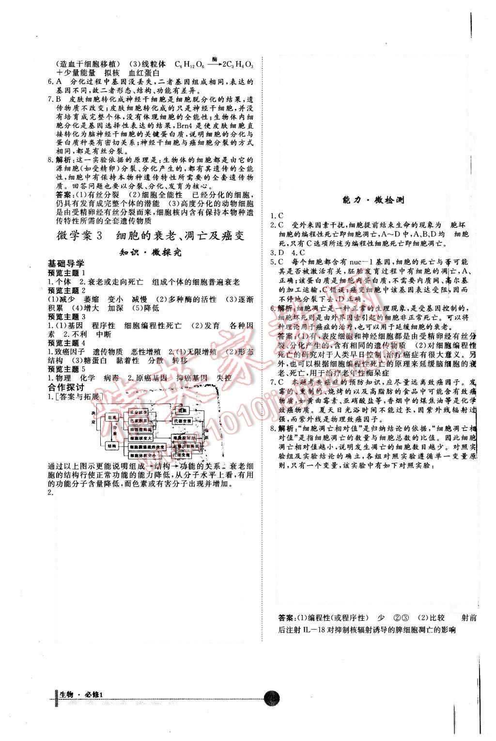 2015年非常學(xué)案生物必修1人教版 第18頁(yè)