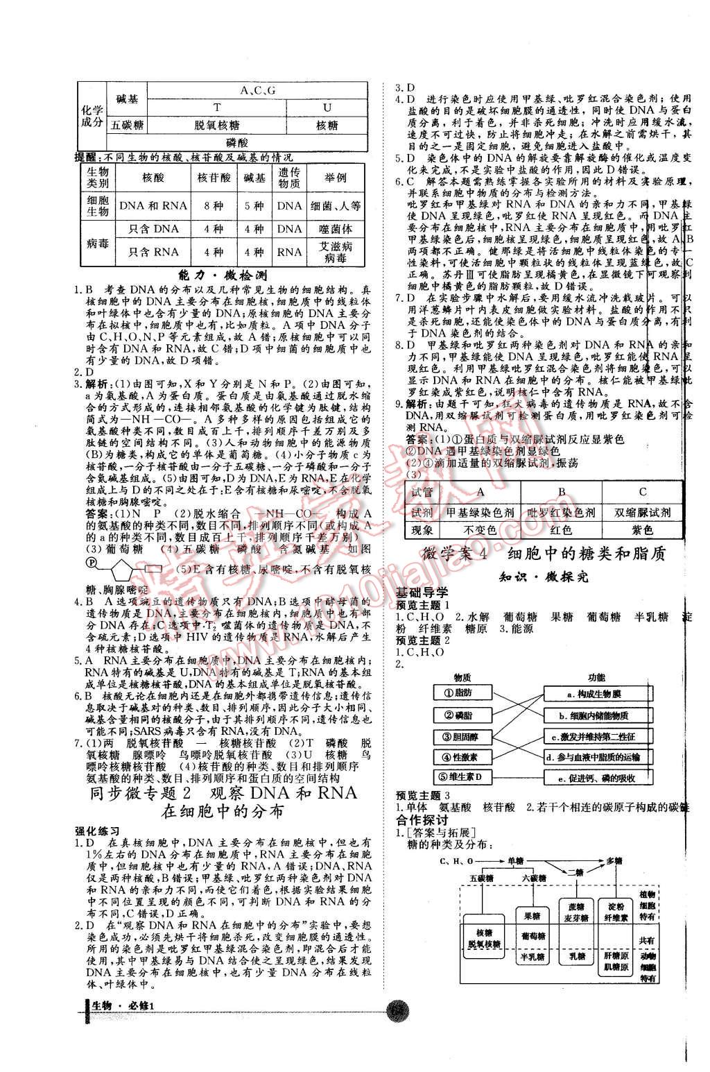 2015年非常學(xué)案生物必修1人教版 第4頁