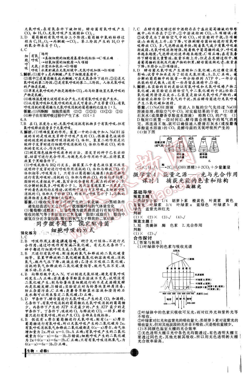 2015年非常學(xué)案生物必修1人教版 第14頁