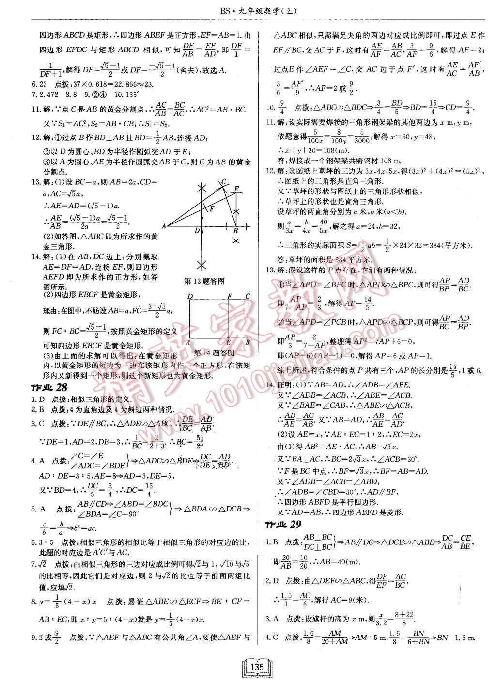 2015年啟東中學作業(yè)本九年級數(shù)學上冊北師大版 第15頁