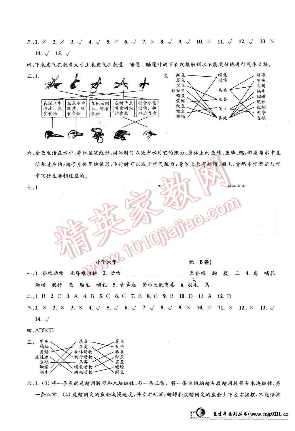 2015年孟建平小學(xué)單元測(cè)試六年級(jí)科學(xué)上冊(cè)教科版 第5頁