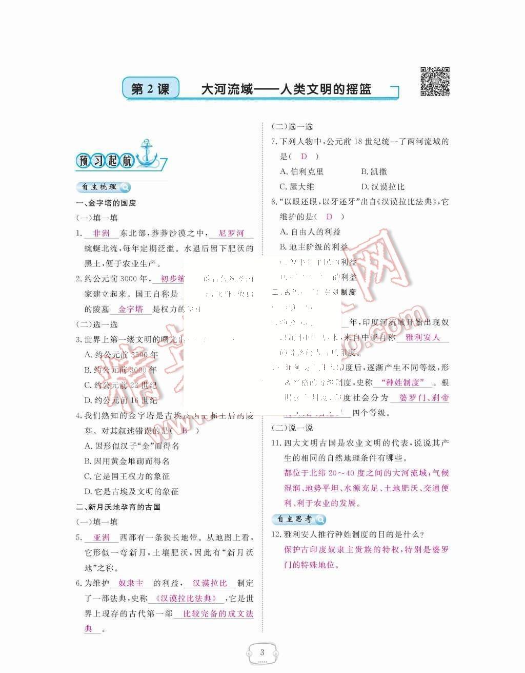 2015年領(lǐng)航新課標(biāo)練習(xí)冊九年級歷史全一冊人教版 第3頁