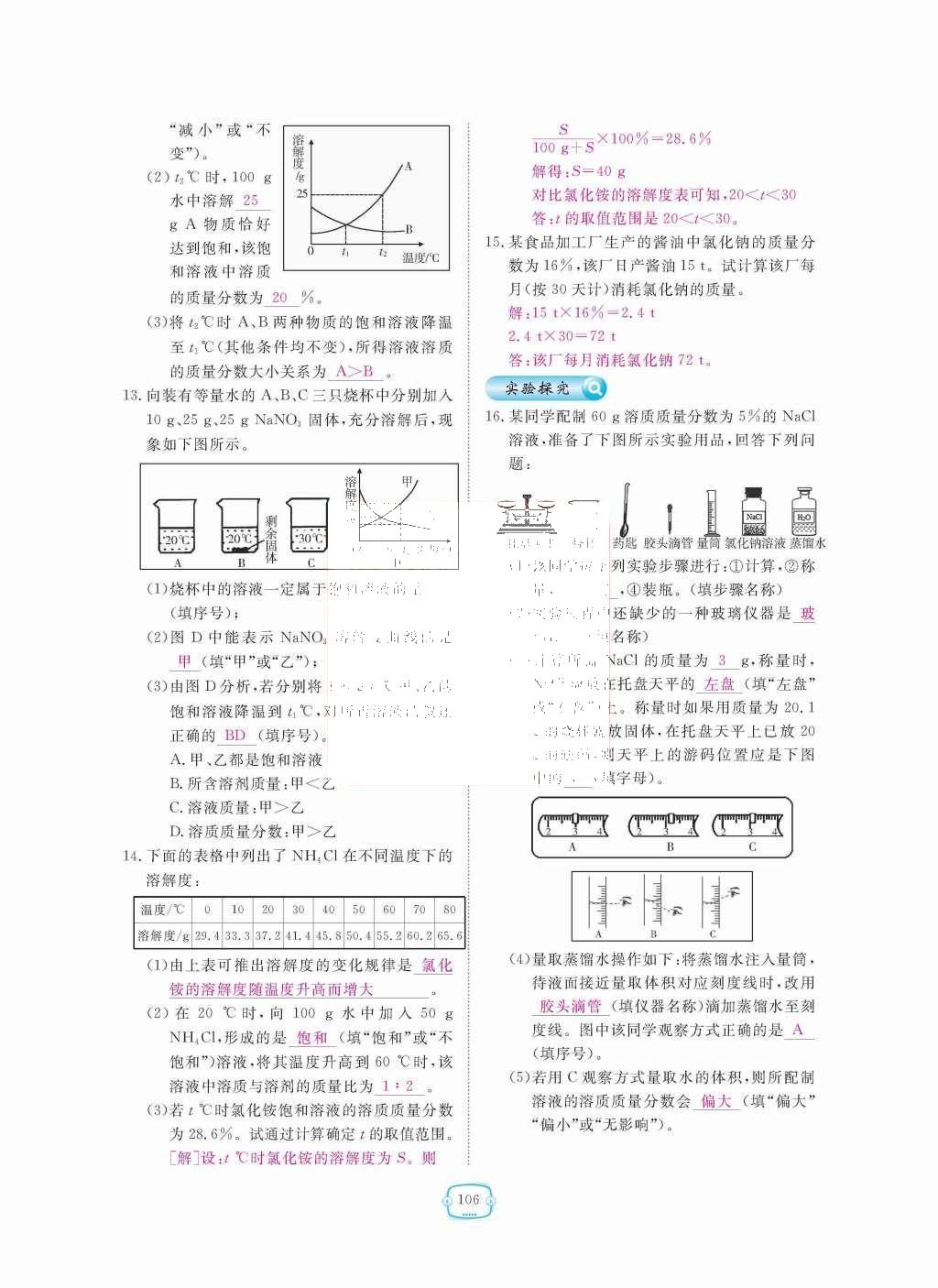 2015年領(lǐng)航新課標練習冊九年級化學全一冊人教版 第九單元  溶液第106頁