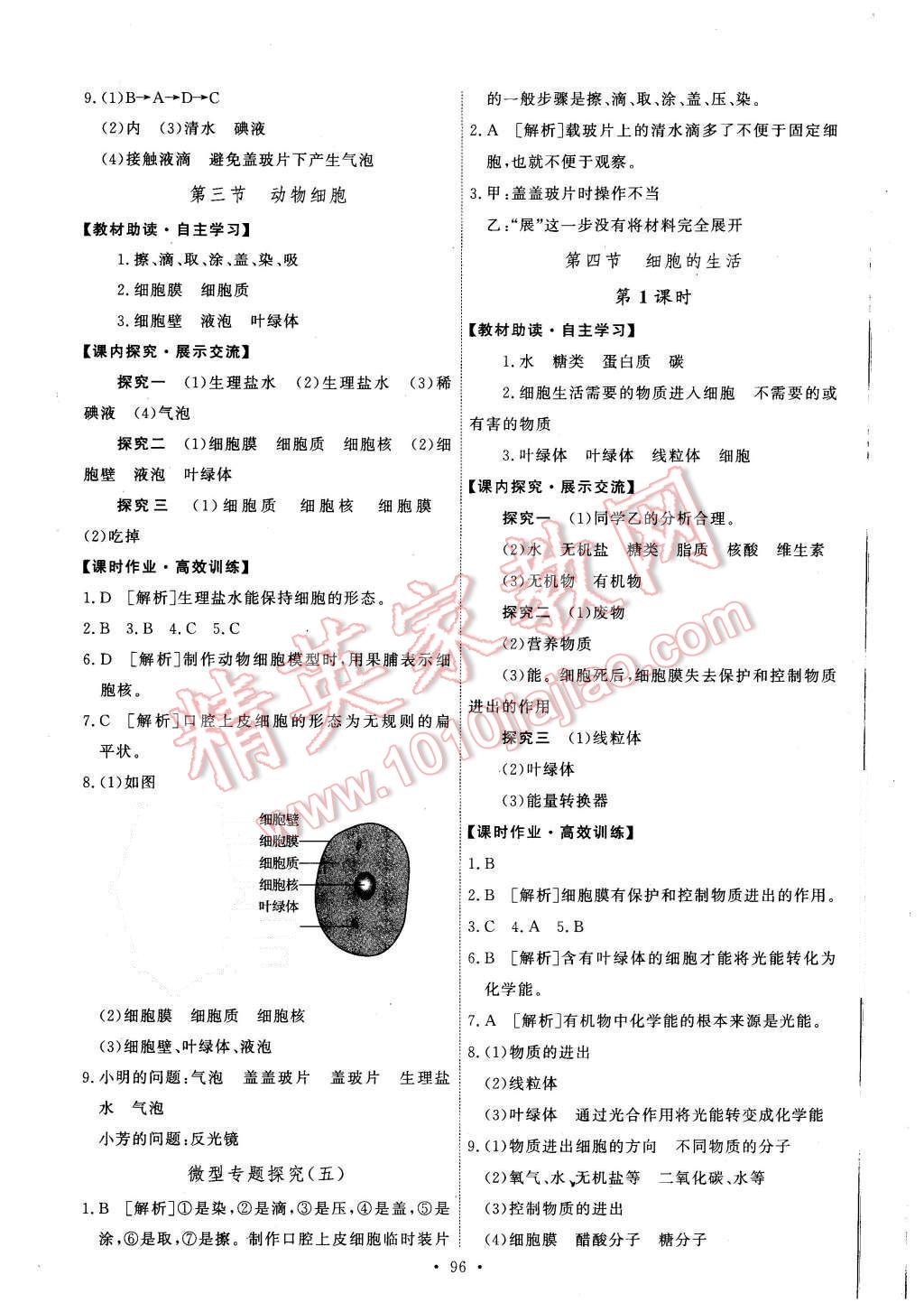 2015年能力培养与测试七年级生物学上册人教版 第6页