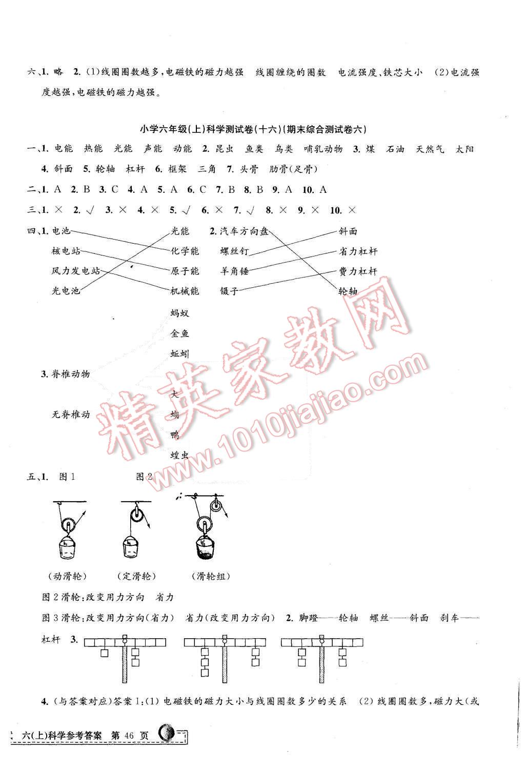 2015年孟建平小學(xué)單元測試六年級(jí)科學(xué)上冊(cè)教科版 第8頁