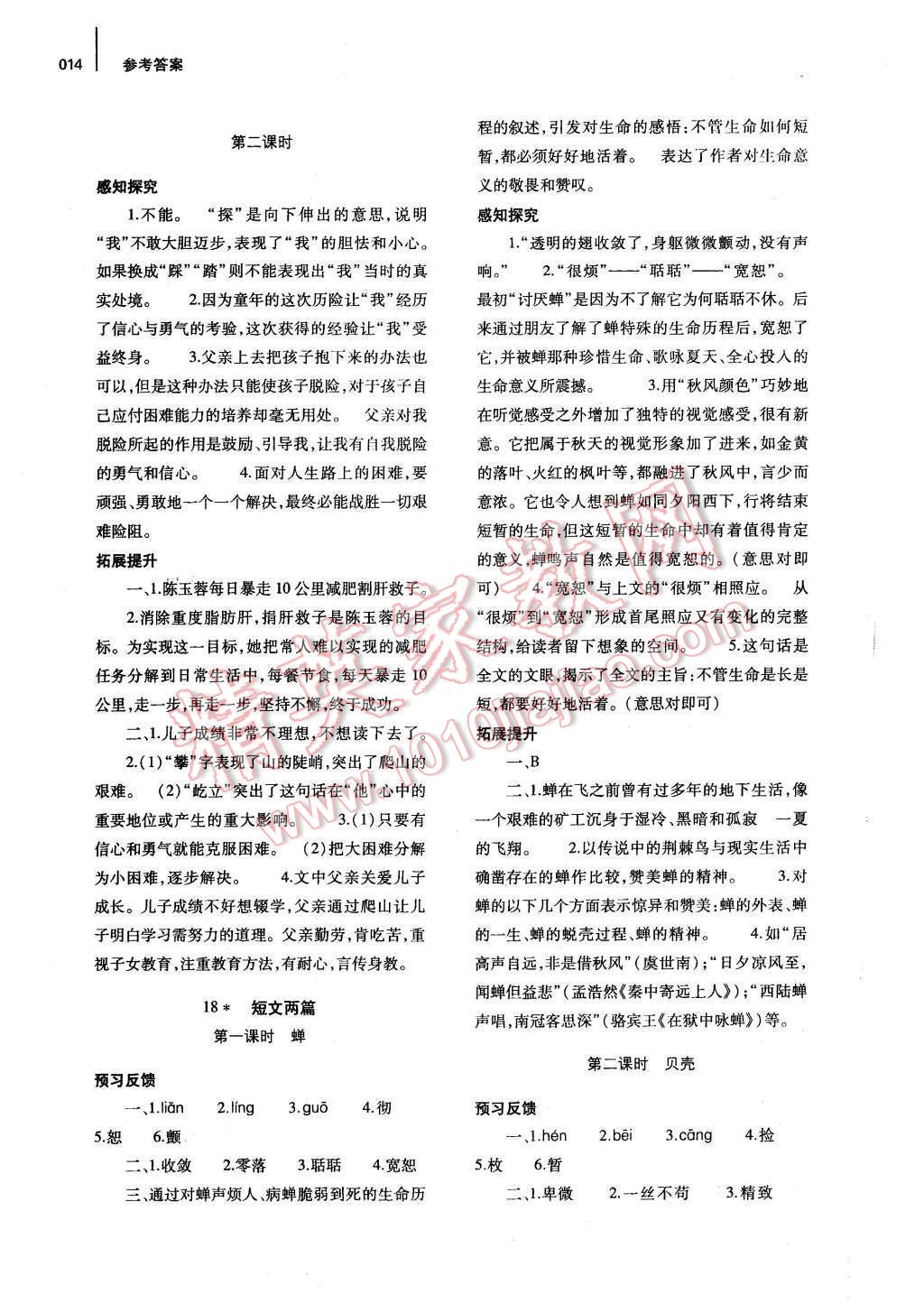 2015年基礎(chǔ)訓(xùn)練七年級語文上冊人教版僅限河南省使用大象出版社 第14頁