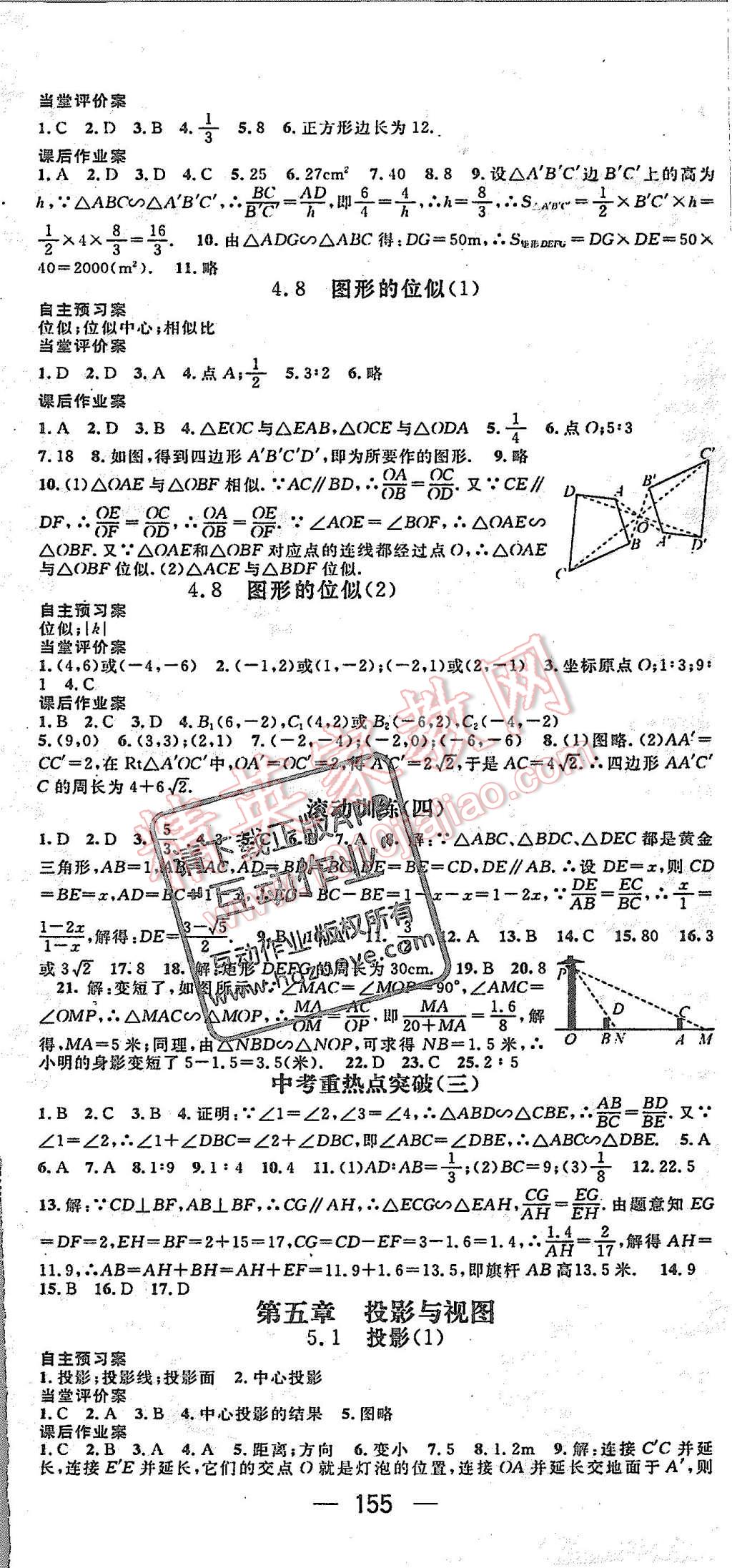 2015年名师测控九年级数学上册北师大版 第8页