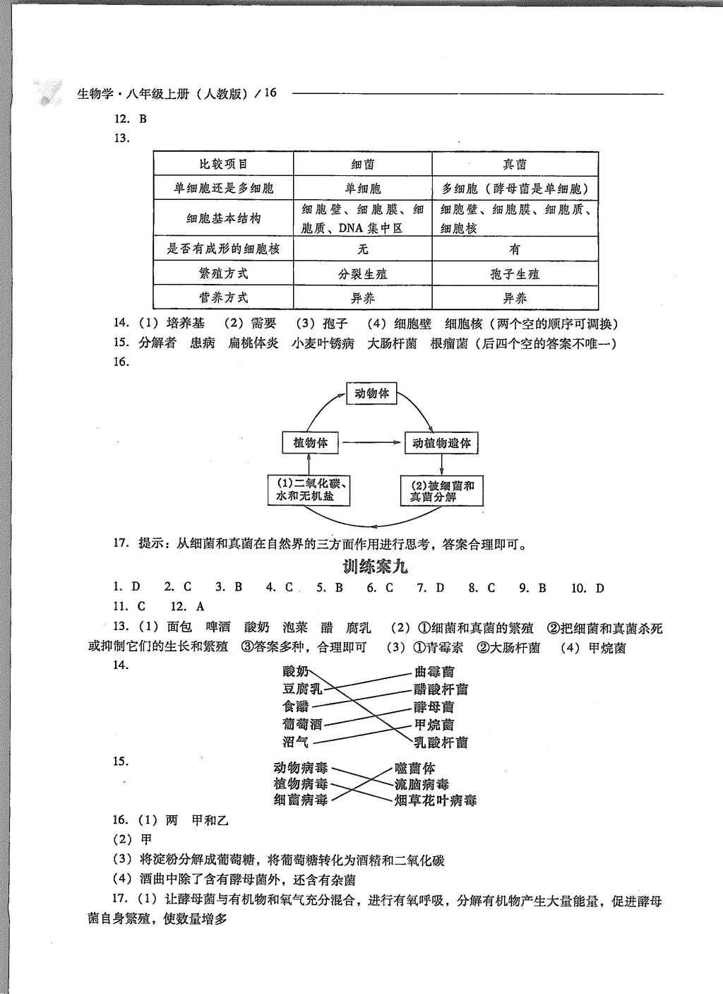 2015年新課程問題解決導(dǎo)學(xué)方案八年級生物學(xué)上冊人教版 第16頁