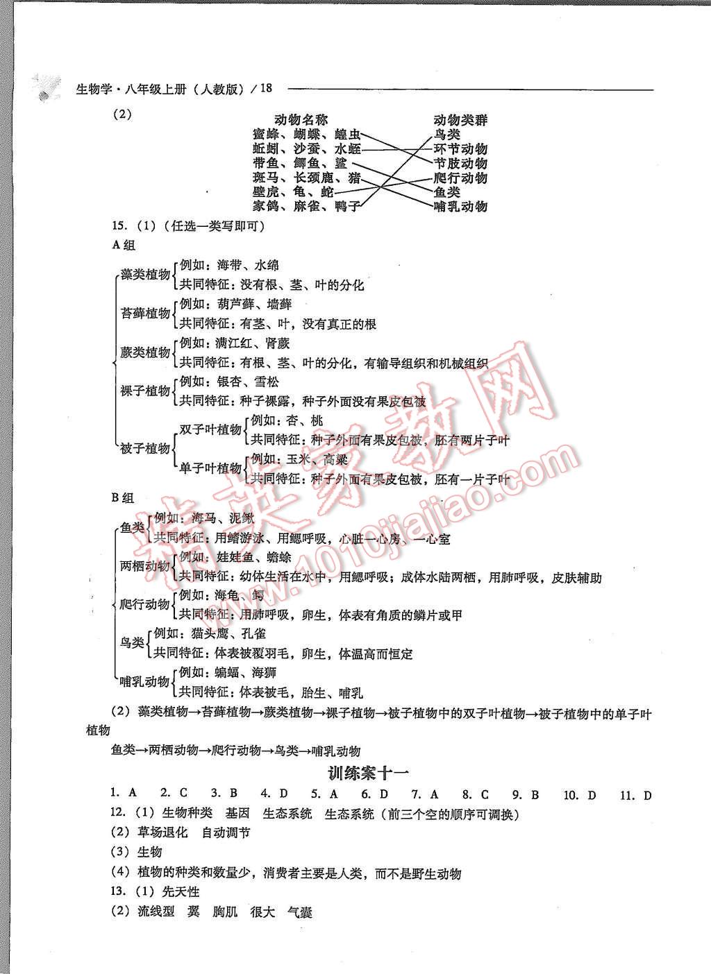 2015年新課程問題解決導(dǎo)學(xué)方案八年級生物學(xué)上冊人教版 第18頁