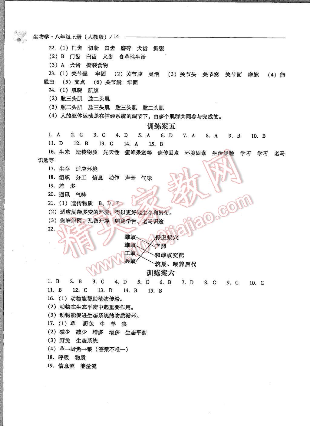 2015年新課程問題解決導(dǎo)學(xué)方案八年級生物學(xué)上冊人教版 第14頁