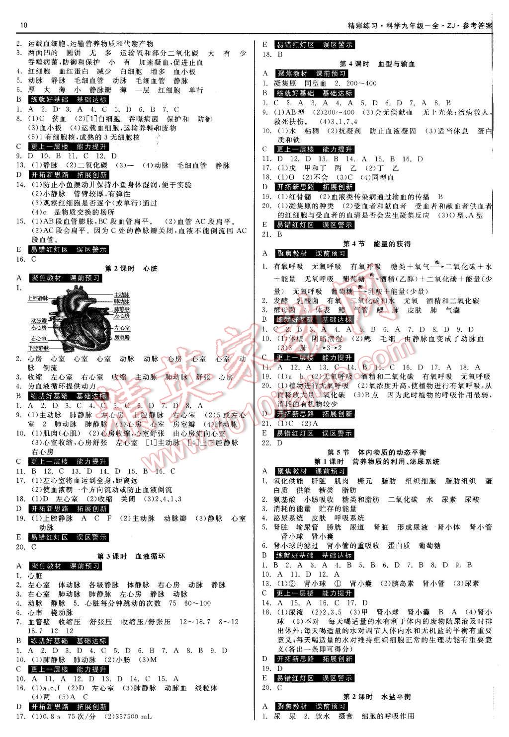 2015年精彩練習(xí)就練這一本九年級科學(xué)全一冊浙教版 第10頁