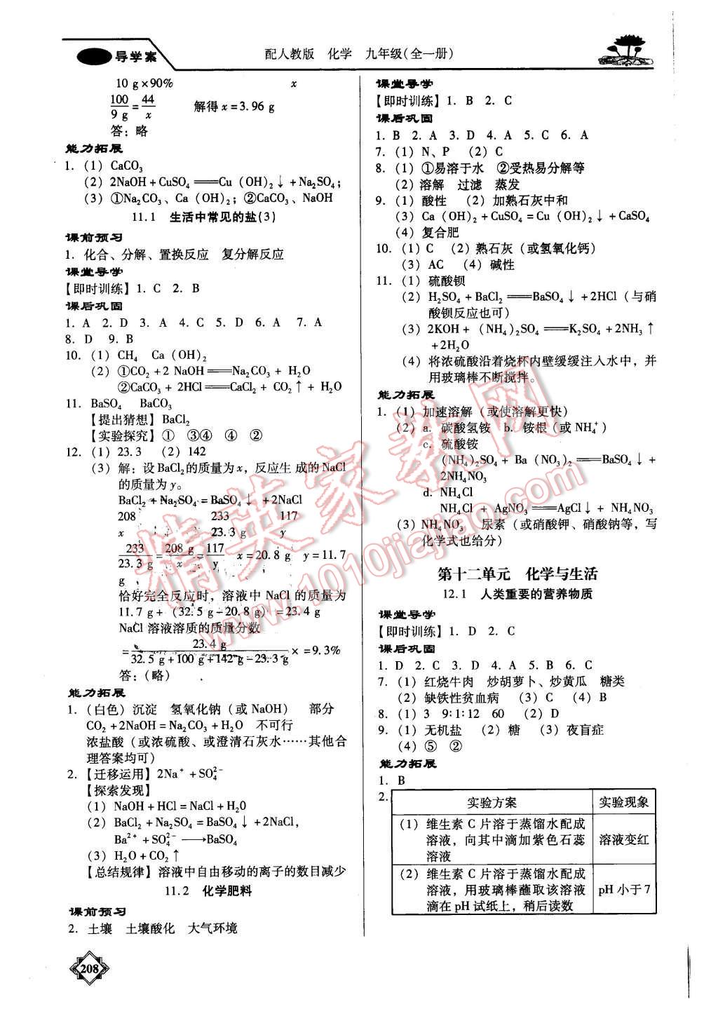 2015年百年學(xué)典金牌導(dǎo)學(xué)案九年級(jí)化學(xué)全一冊(cè)人教版 第11頁