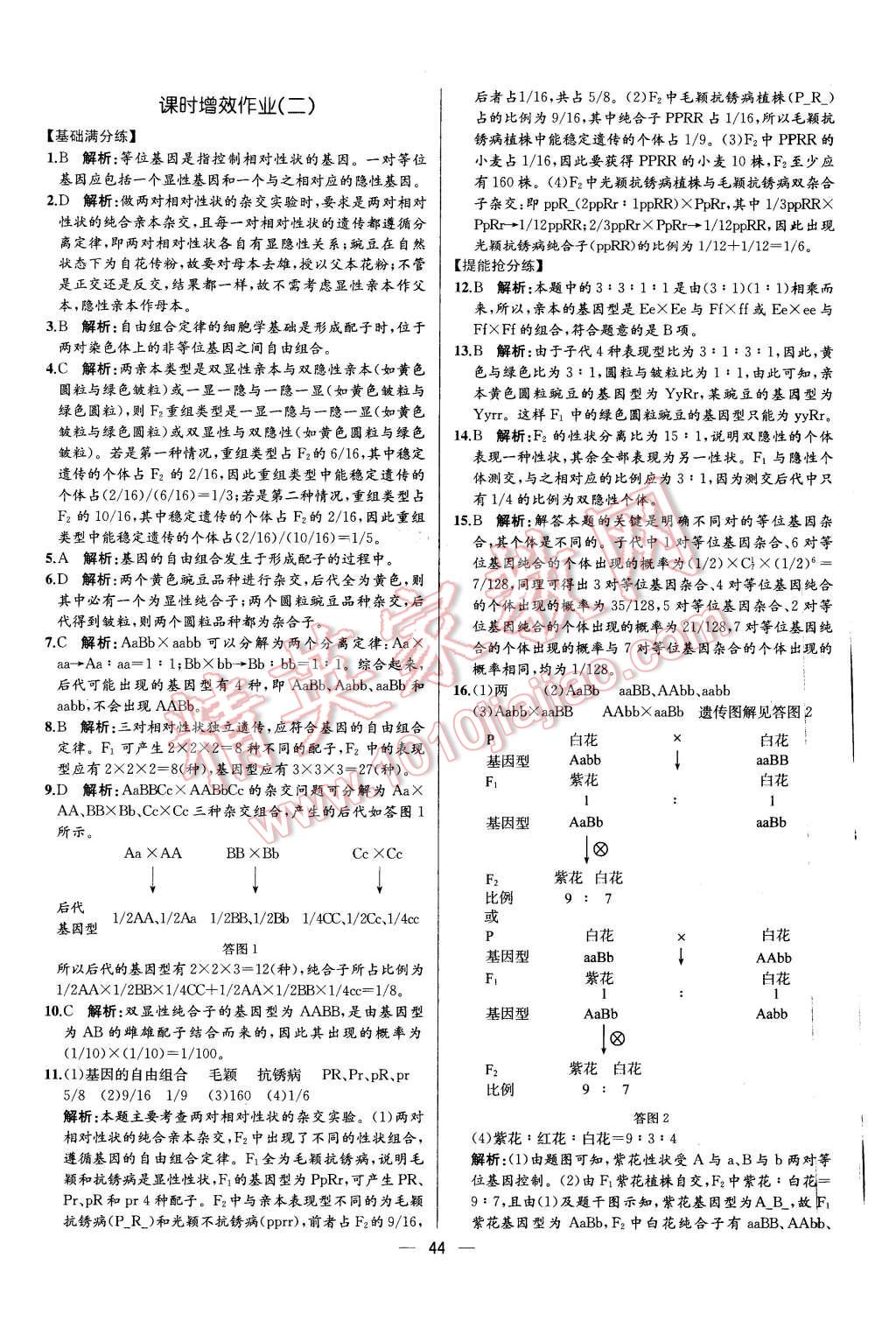 2015年同步導(dǎo)學(xué)案課時練高中生物必修2遺傳與進(jìn)化人教版 第2頁