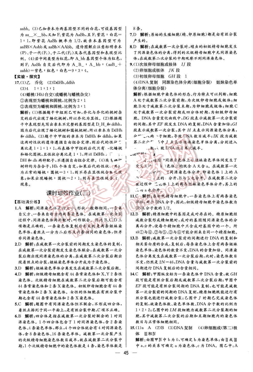 2015年同步導(dǎo)學(xué)案課時練高中生物必修2遺傳與進化人教版 第3頁