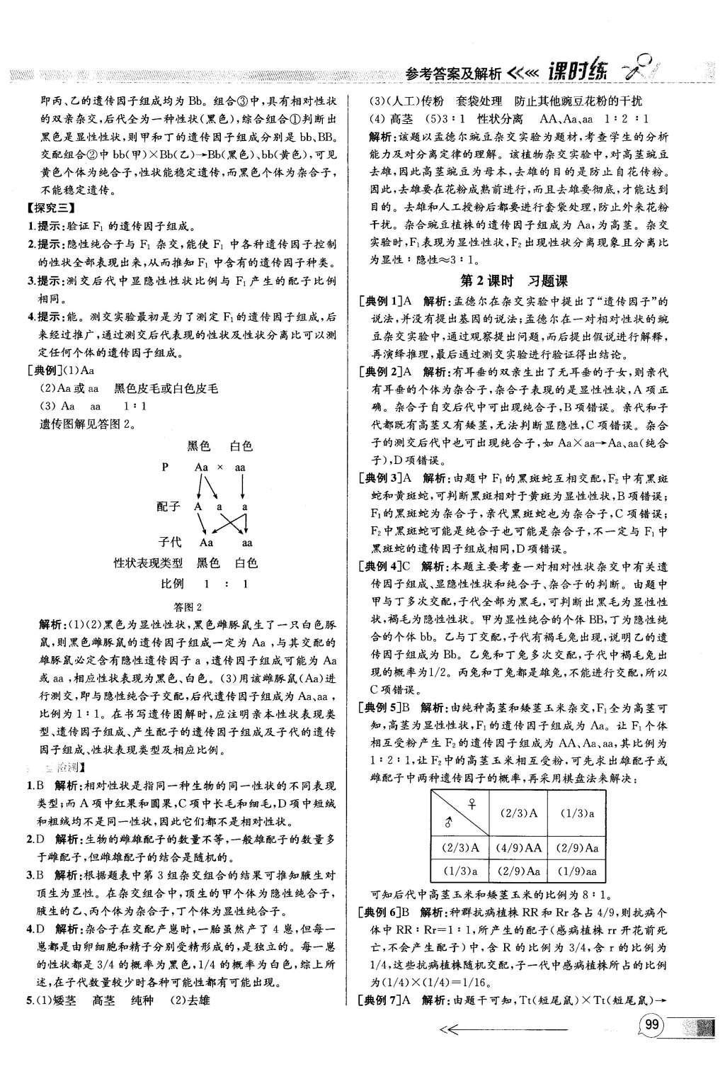 2015年同步導(dǎo)學(xué)案課時(shí)練高中生物必修2遺傳與進(jìn)化人教版 參考答案2第22頁