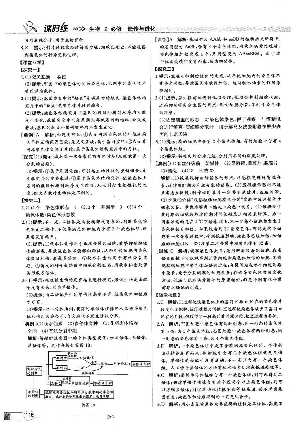 2015年同步導(dǎo)學(xué)案課時練高中生物必修2遺傳與進(jìn)化人教版 參考答案2第39頁