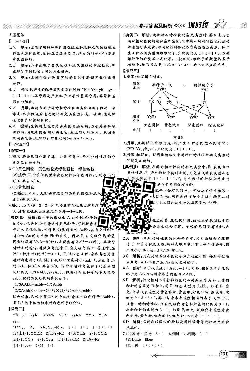 2015年同步導(dǎo)學(xué)案課時(shí)練高中生物必修2遺傳與進(jìn)化人教版 參考答案2第24頁(yè)