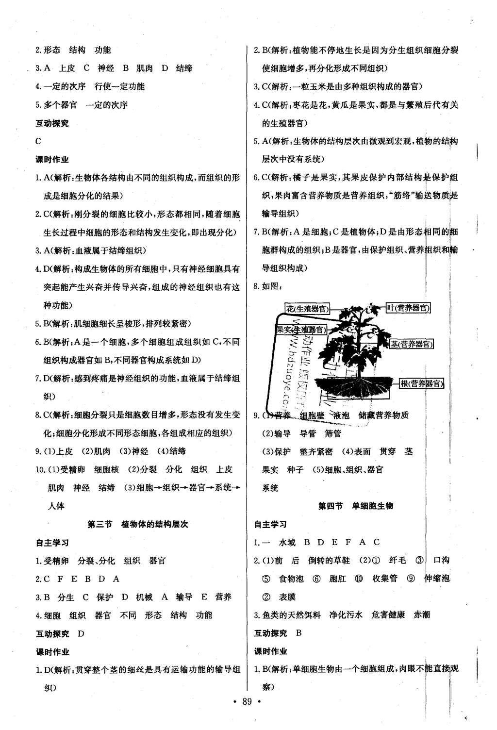 2015年長(zhǎng)江全能學(xué)案同步練習(xí)冊(cè)七年級(jí)生物學(xué)上冊(cè)人教版 參考答案第23頁(yè)