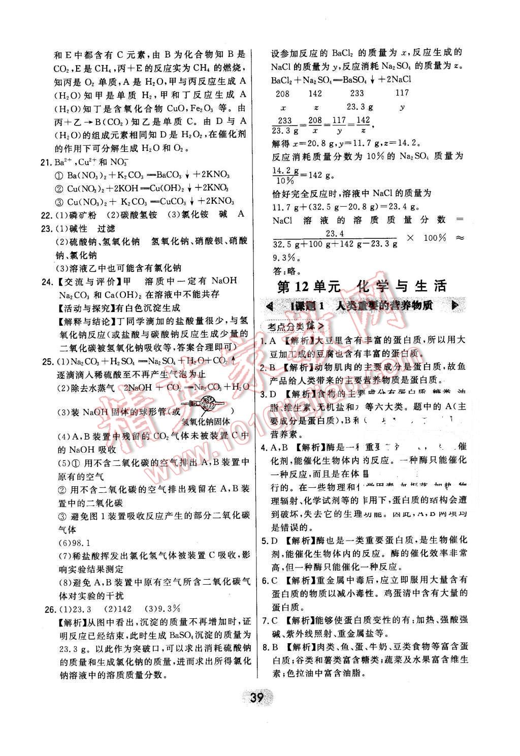 2016年北大绿卡课时同步讲练九年级下化学人教版 第39页