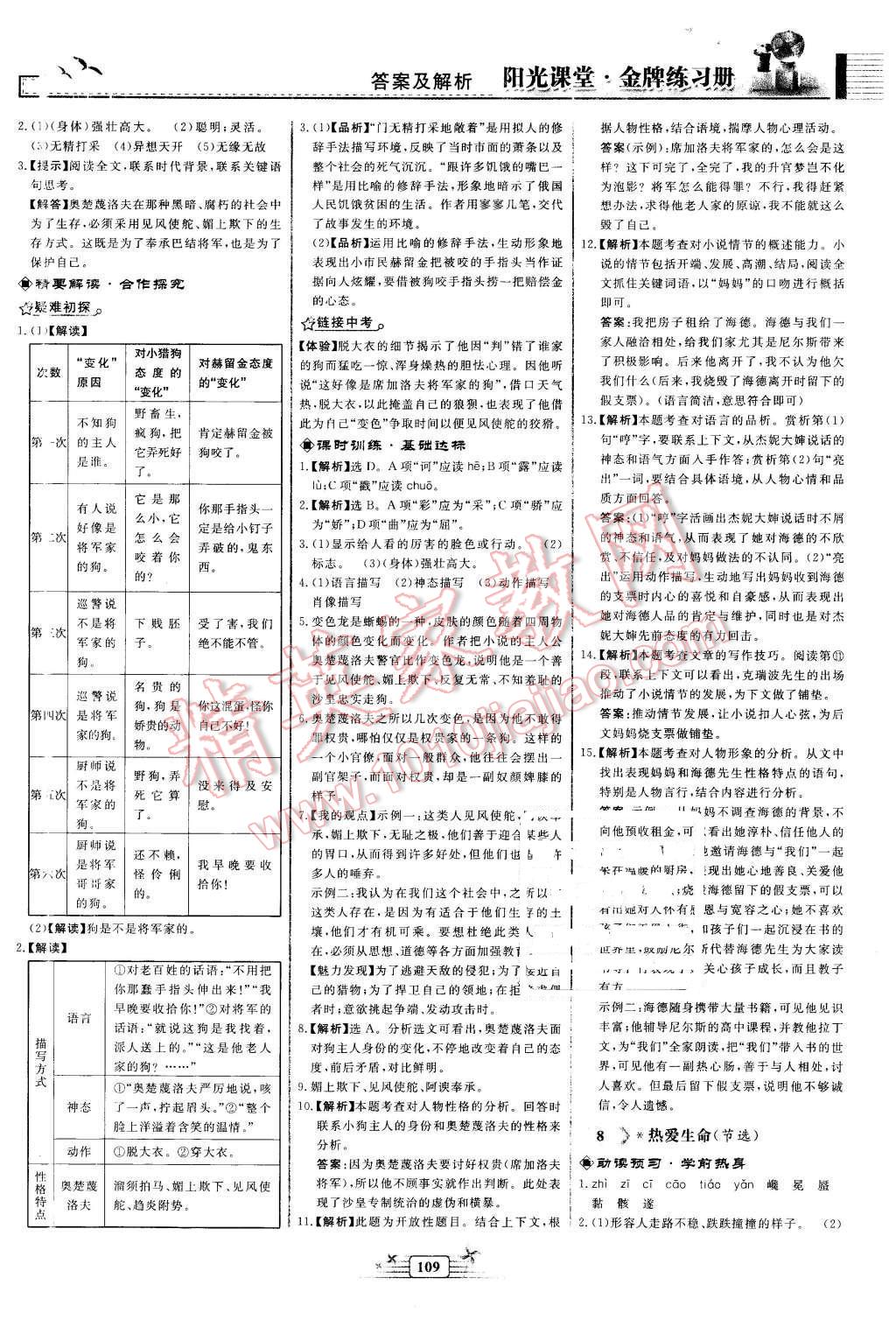 2016年陽光課堂金牌練習(xí)冊九年級語文下冊人教版 第5頁