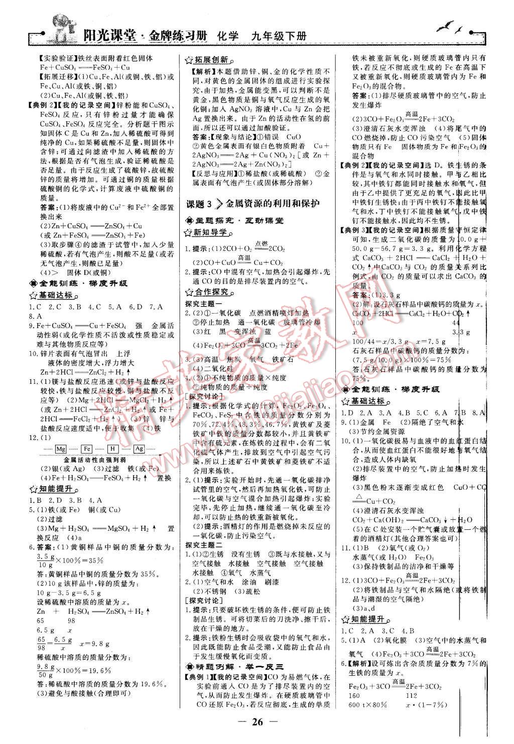 2016年陽光課堂金牌練習冊九年級化學下冊人教版 第2頁