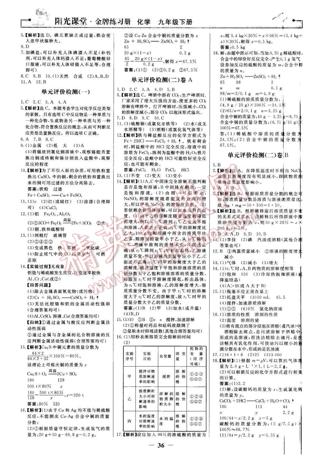 2016年陽光課堂金牌練習(xí)冊九年級化學(xué)下冊人教版 第12頁