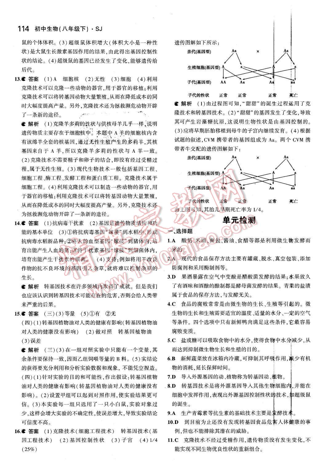 2016年5年中考3年模擬初中生物八年級下冊蘇教版 第21頁