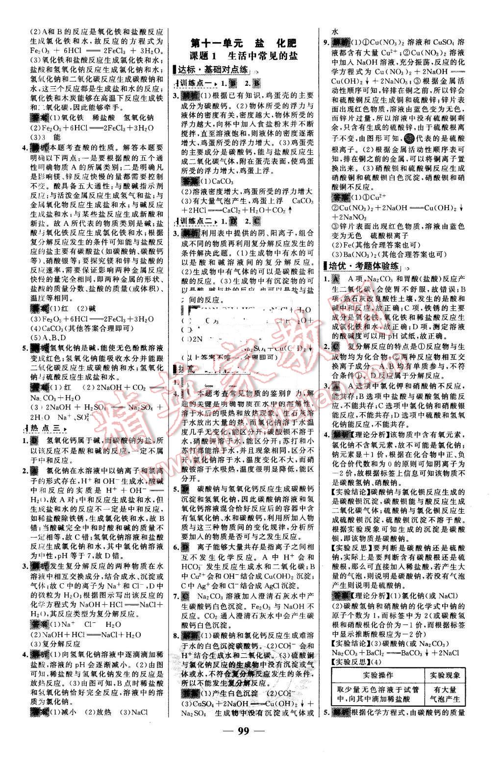 2016年世纪金榜百练百胜九年级化学下册人教版 第9页